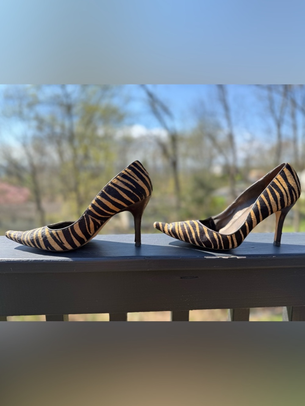 ANTONIO MELANI Zebra-Print Pointed-Toe Pumps in Black & Tan